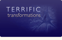 Terrific Transformations